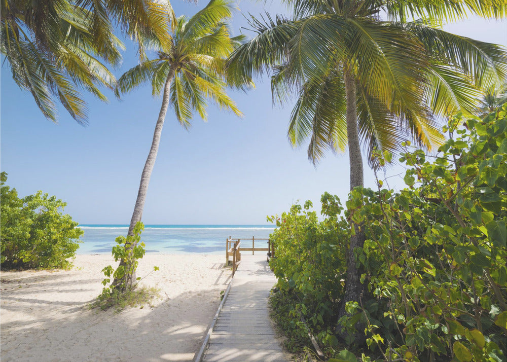 To the Beach | Wallpaper