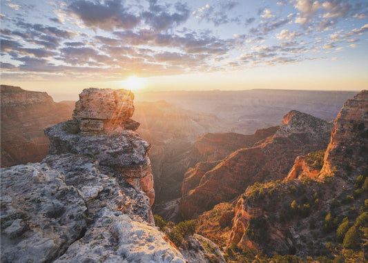 Grand Canyon Rise | Canvas