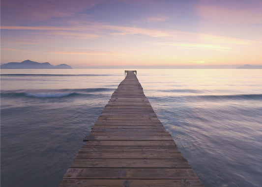 Purple Jetty | Poster