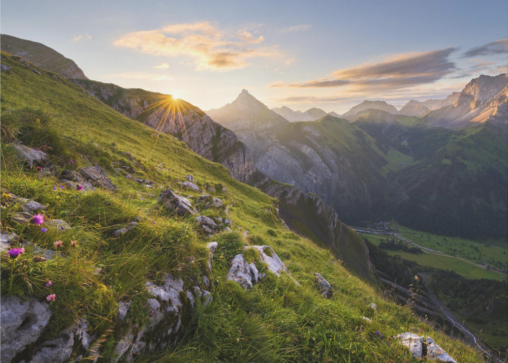 Summer Meadow | Canvas