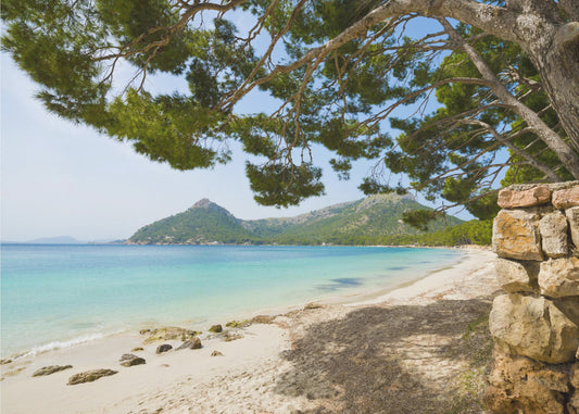 Beach Vacation | Canvas