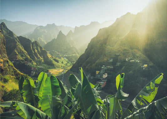 Green Valley | Poster