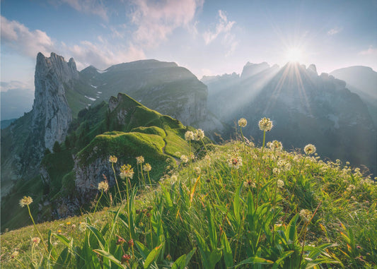 High Summer | Poster