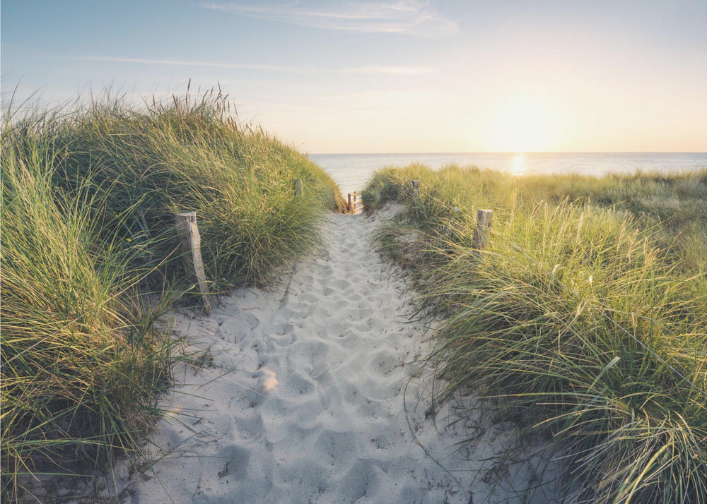 To the Beach | Poster