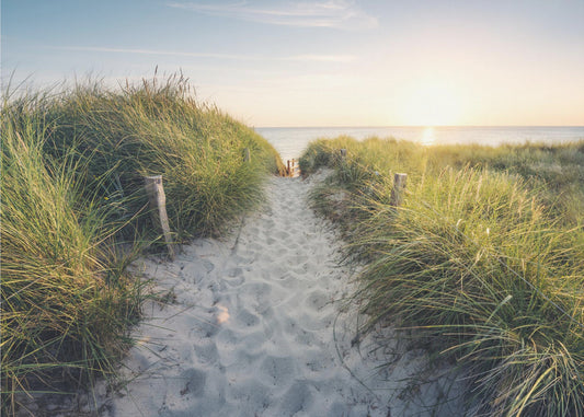 To the Beach | Canvas