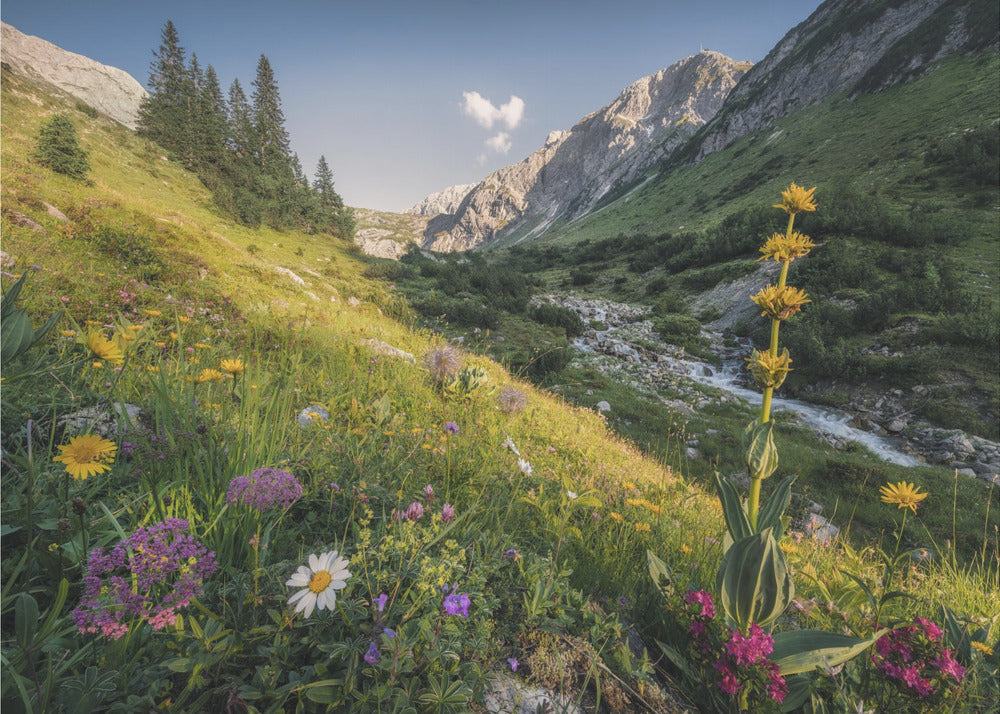 Garden Eden | Poster