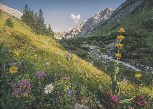 Garden Eden | Poster