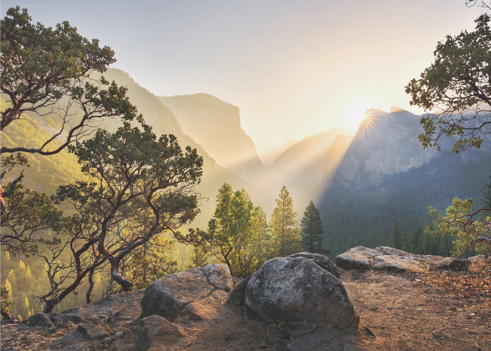 Yosemites Secret | Canvas