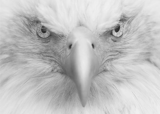 Killer Eyes | Wallpaper