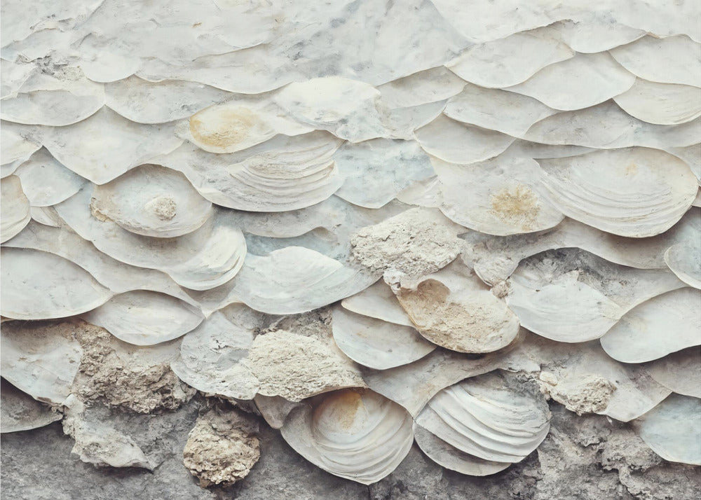 Shell Harmony Wall | Canvas