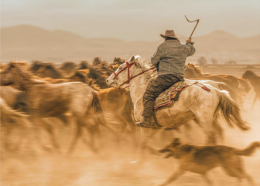 Wild horses (aka Yılkı Atları) | Canvas