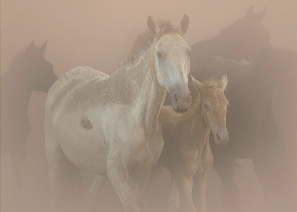 Saca de las Yeguas | Wallpaper