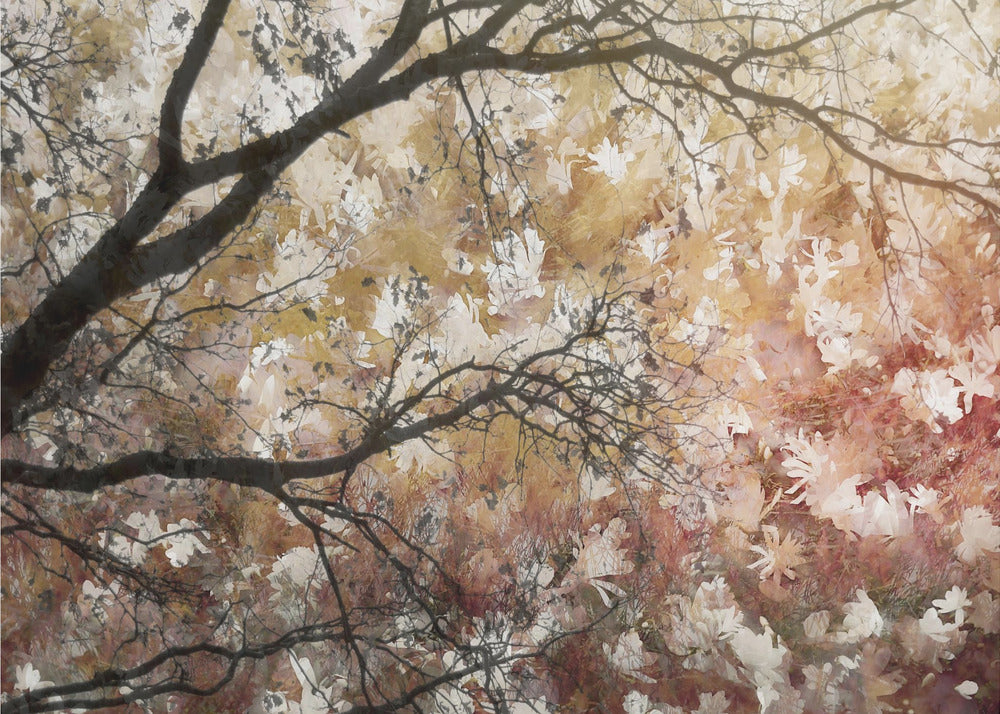 Sea of flowers | Poster