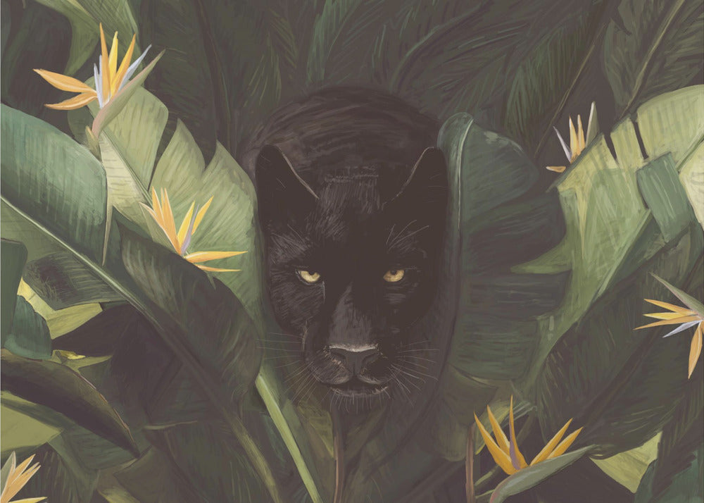 Hello Panther | Canvas