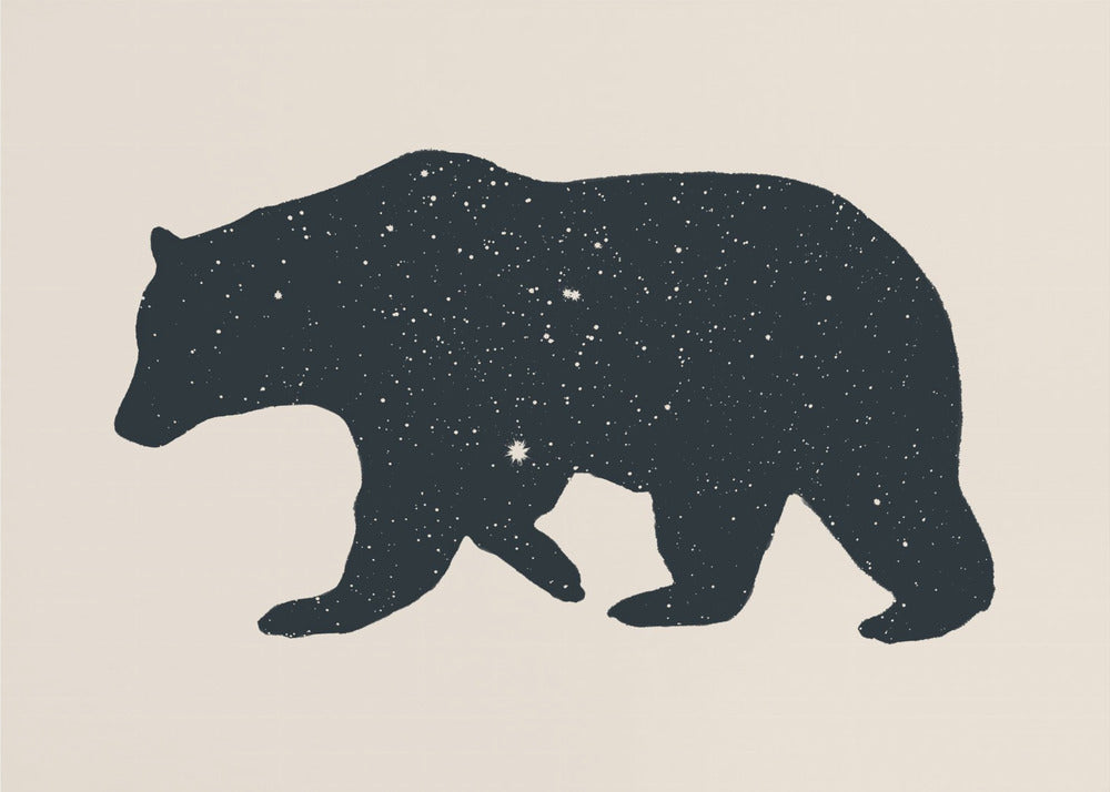 Bär | Canvas