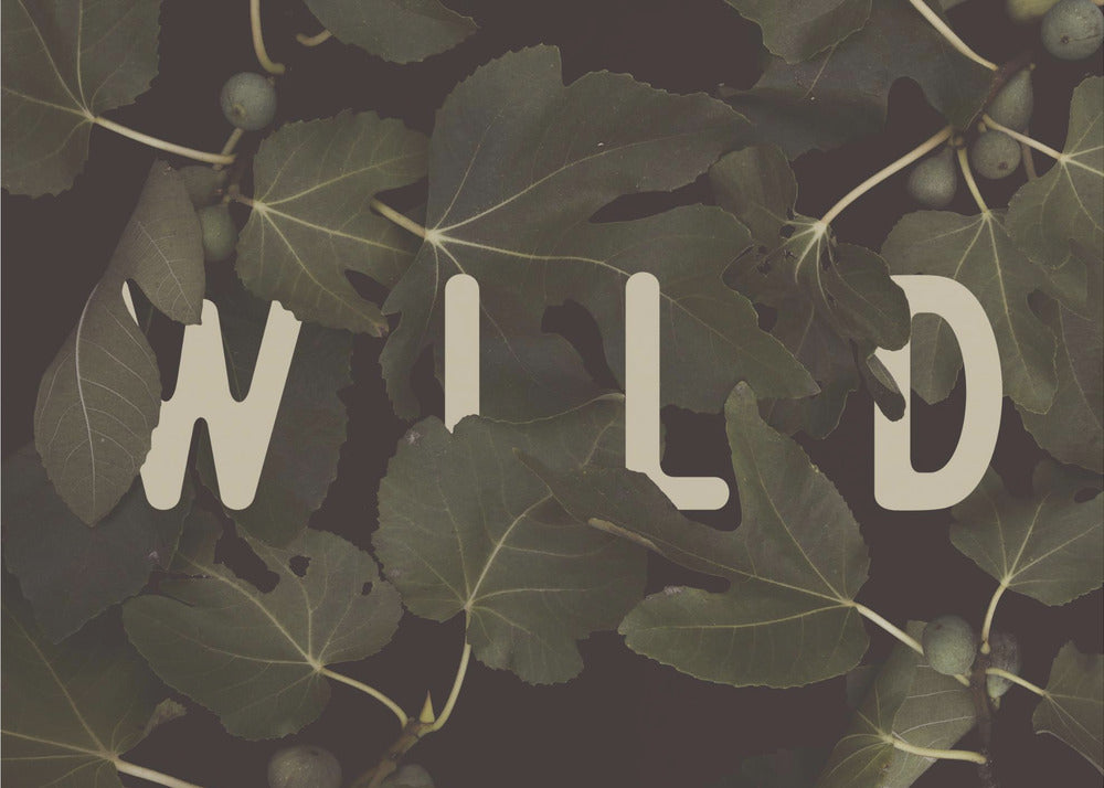 Wild Nº2 | Poster