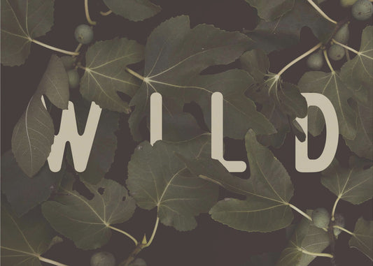 Wild Nº2 | Poster