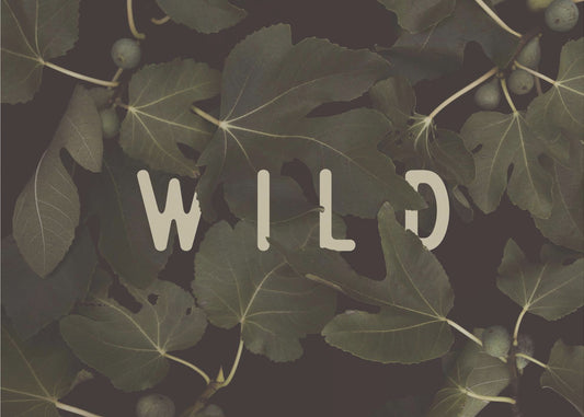 Wild Nº1 | Poster