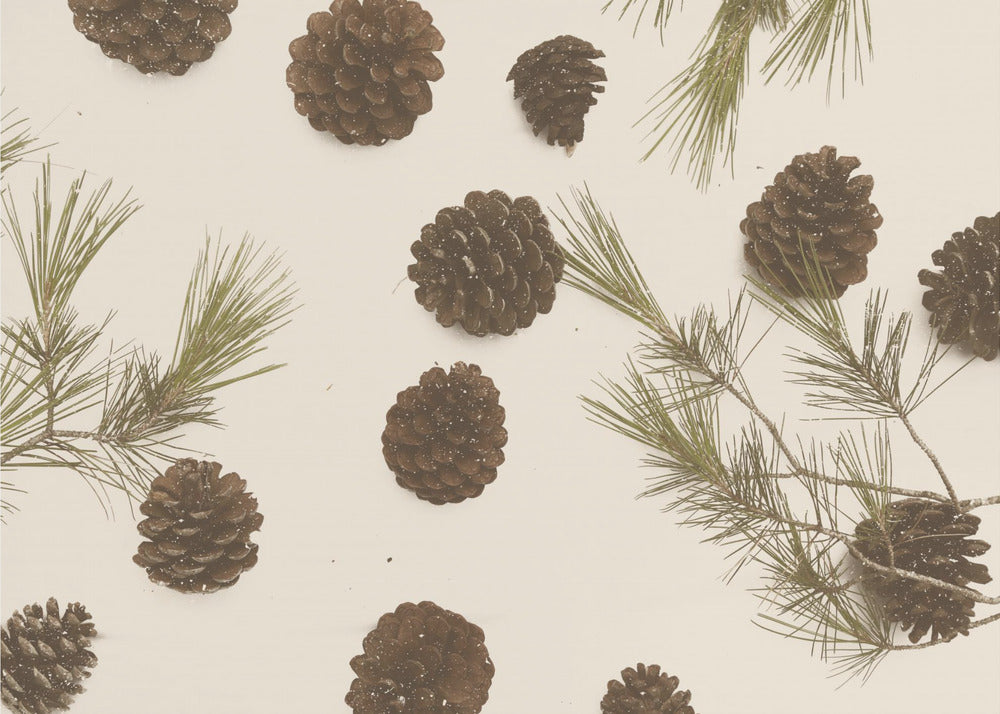 Merry Christmas My Dear | Poster