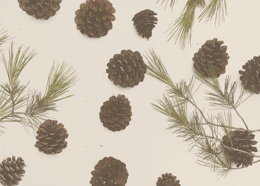 Merry Christmas My Dear | Canvas