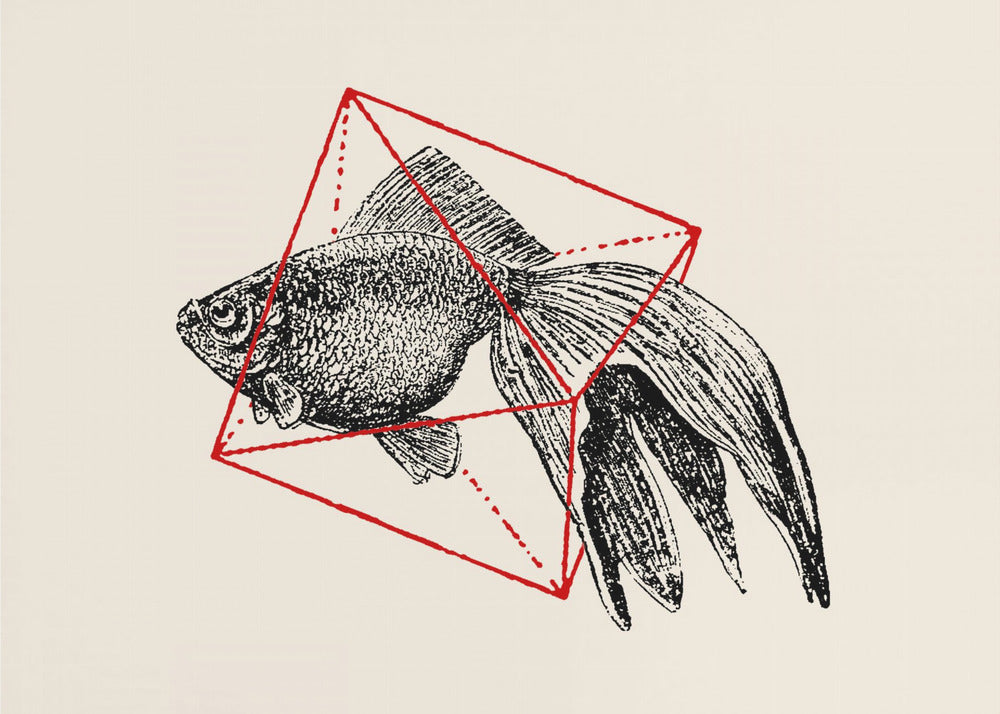 Fish In Geometrics Nº3 | Poster