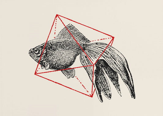 Fish In Geometrics Nº3 | Poster