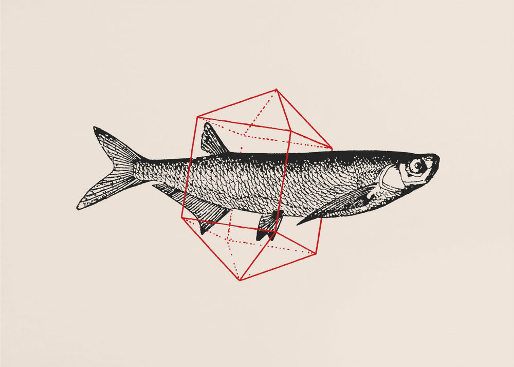 Fish In Geometrics Nº2 | Canvas