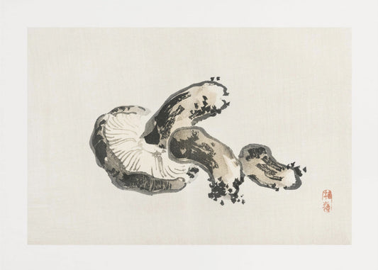 Shitake Mushroom | Canvas