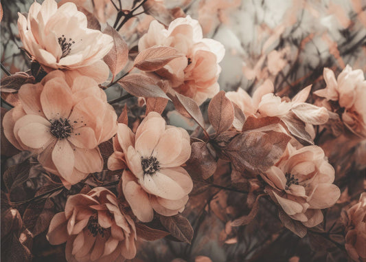 Petals in Harmony | Poster