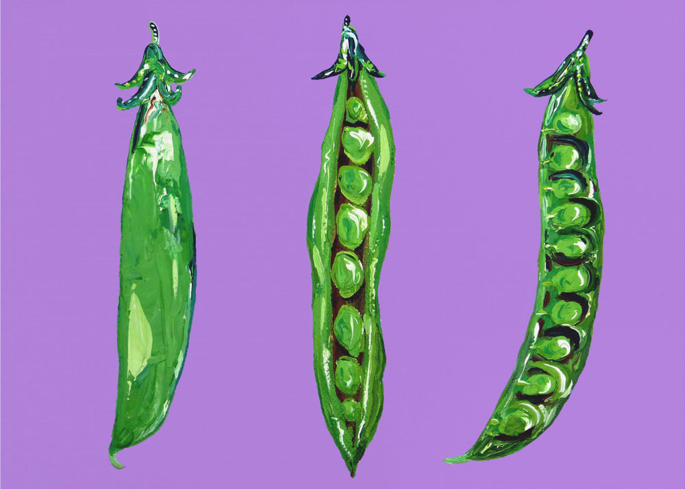Peas In a Pod | Canvas