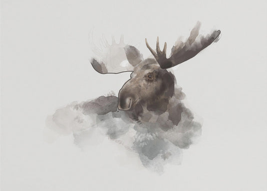 Elk | Poster