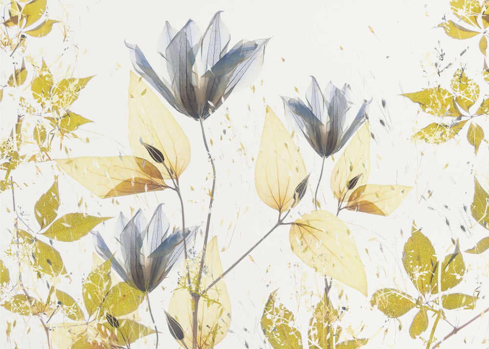 Spring vibe | Canvas