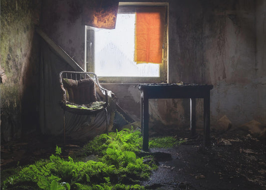 Plants in Line | Wallpaper