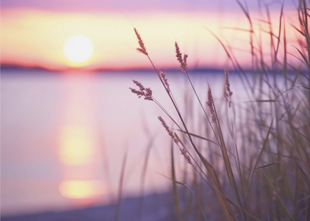 Serene Sunset Glow | Canvas