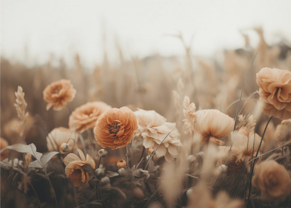 Petals in Sepia | Canvas