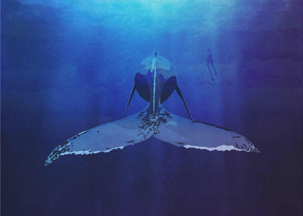 Ocean&#039;s Majesty | Canvas