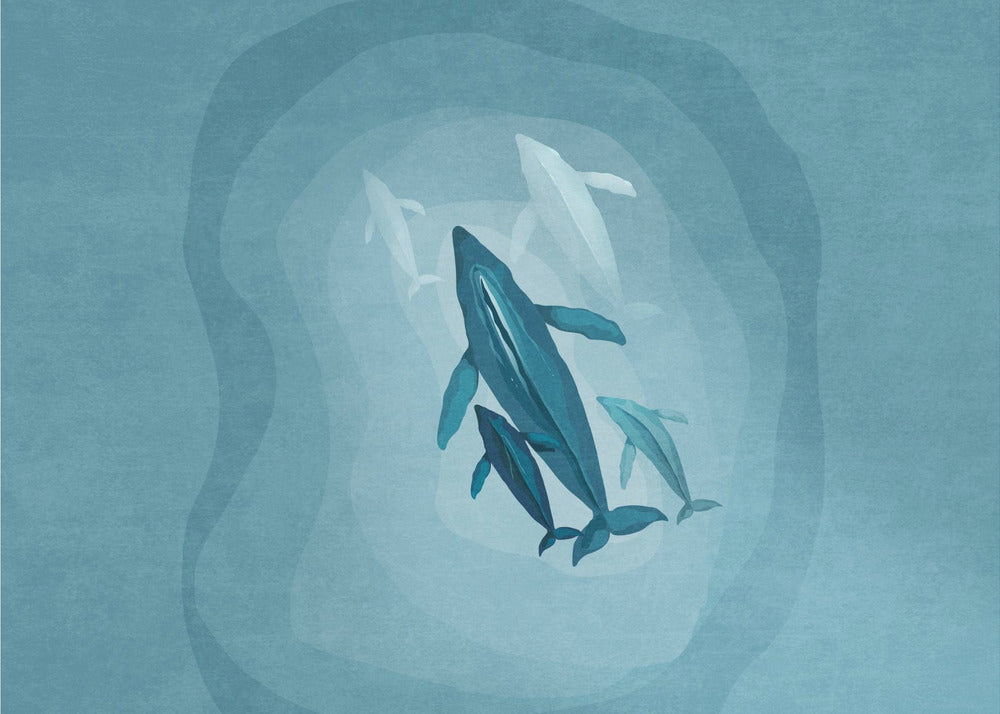 Gentle Giants Swim | Poster