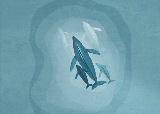 Gentle Giants Swim | Poster