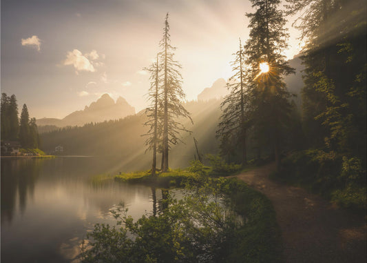 Morning Light | Wallpaper