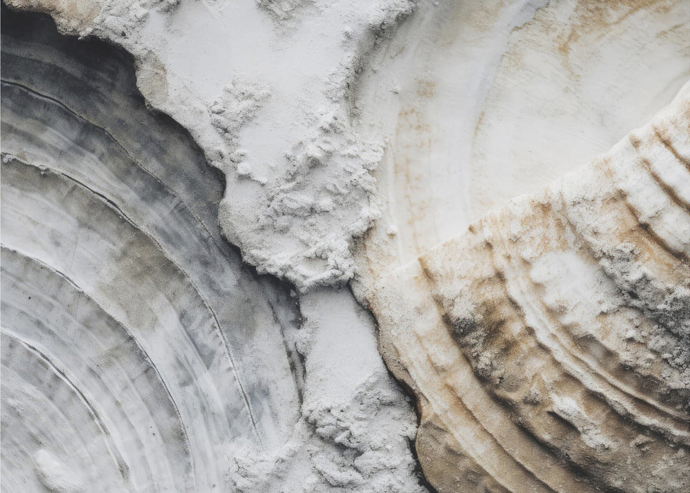 Textured Echoes | Canvas