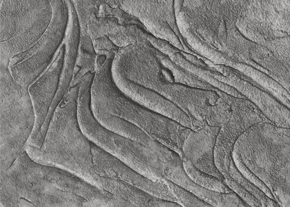 Tex1 1 Grey Dsc4506 | Canvas