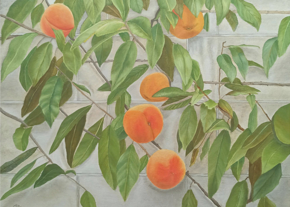 Peaches | Canvas