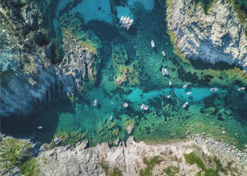 Busy summer | Poster