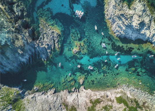 Busy summer | Poster