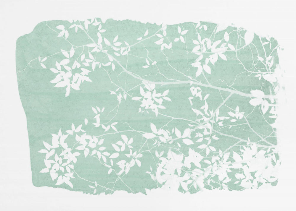 Mint Tree Foliage Silhouette | Canvas