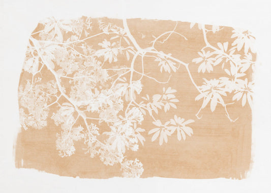 Orange Tree Foliage Silhouette | Canvas