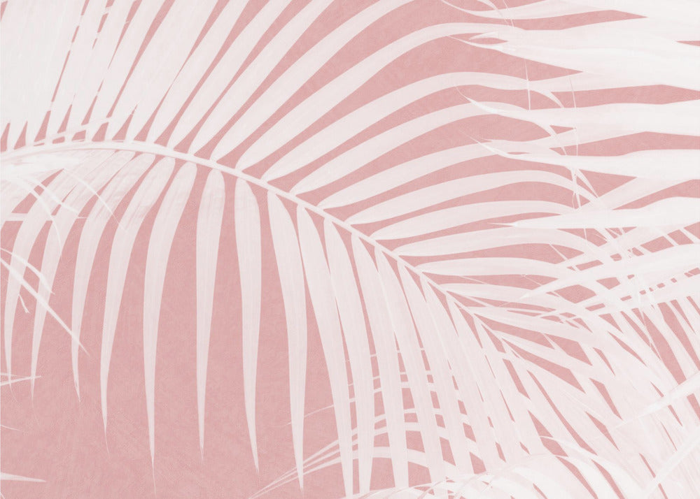 Palm Leaves On Pink Silhouette IV | Poster