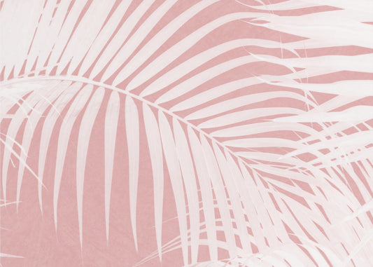 Palm Leaves On Pink Silhouette IV | Canvas