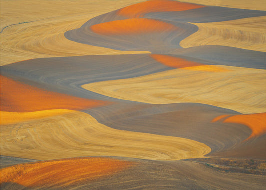 Painted Land | Wallpaper