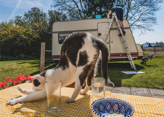 Simular poses... | Poster